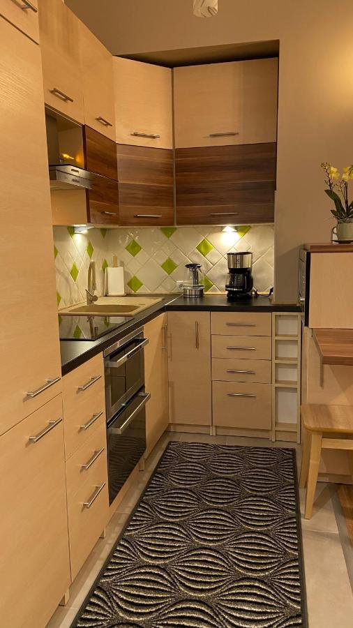 Lublinbnb - Exclusive Family Apartment ------ In The Heart Of Lublin -------------------------------- Bedroom & Living Room & Kitchen מראה חיצוני תמונה